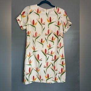 Olivaceous Birds of Paradise Sheath Minidress Dress Size S‎